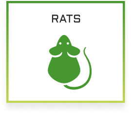 IPM Tech Rats Services Icon