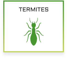 IPM Tech Termites Services Icon