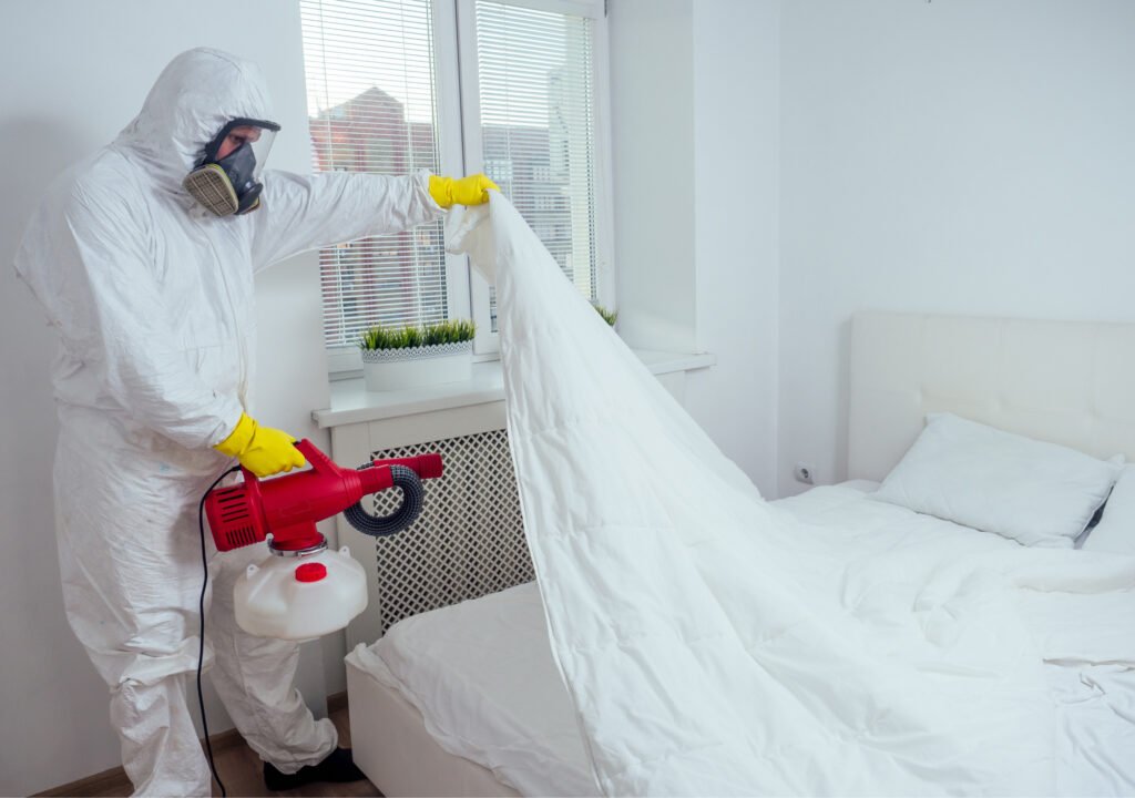 IPM Tech Worker Removing Bed Bugs from a Bed Room in Los Angeles