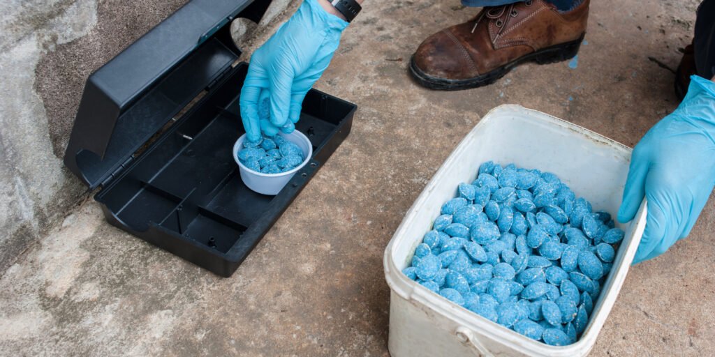 IPM Tech Rat Control Services Blog Hero Image