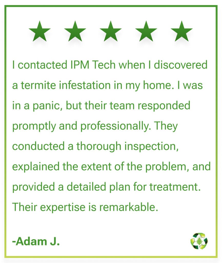 IPM Tech Service Review Adam